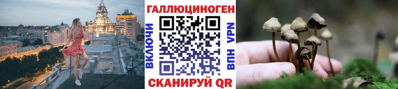 дарнет шоп  Сафоново  Псилоцибиновые грибы мицелий 